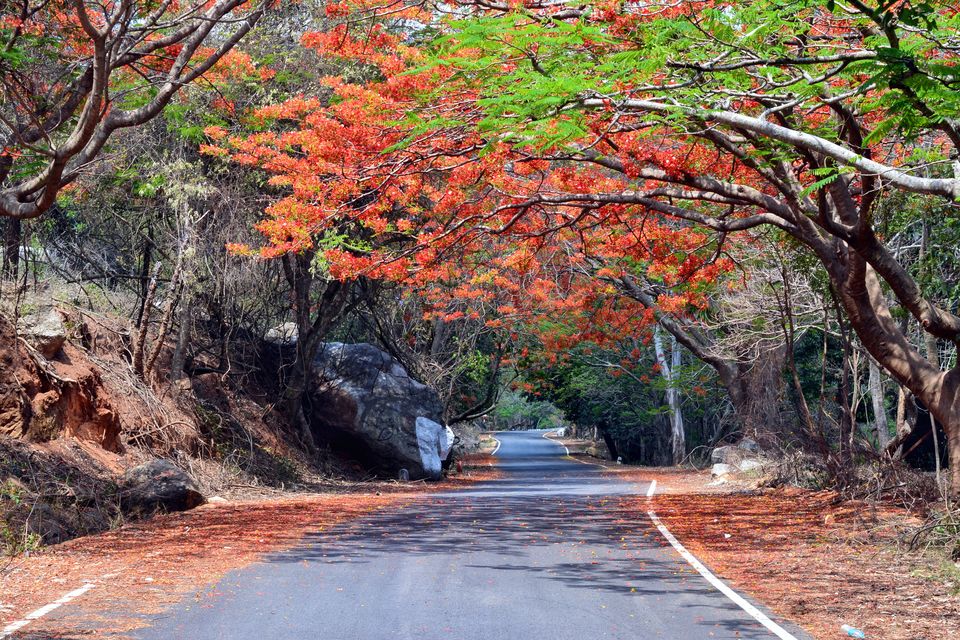 Photo of “Keep calm and drive on” @ Horsley hills road trip from Bangalore by Amit Pal