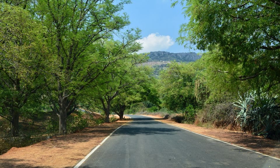 Photo of Horsley Hills, Andhra Pradesh, India by Amit Pal