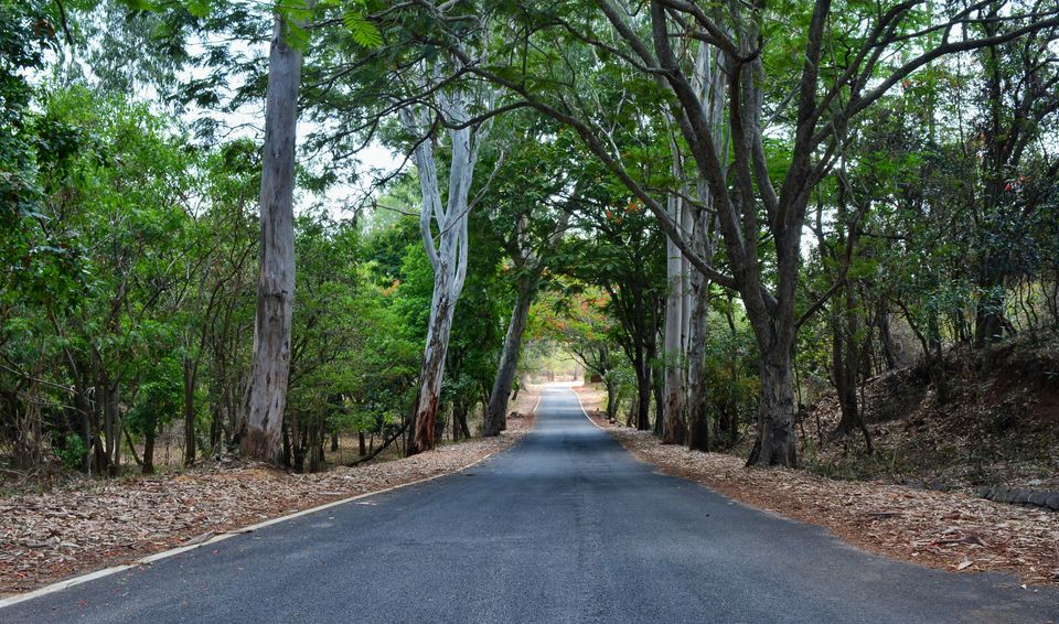 Photo of Horsley Hills, Andhra Pradesh, India by Amit Pal