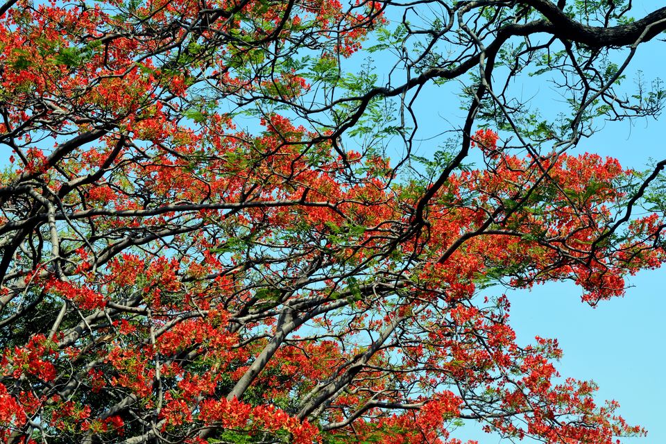 Photo of “Keep calm and drive on” @ Horsley hills road trip from Bangalore by Amit Pal