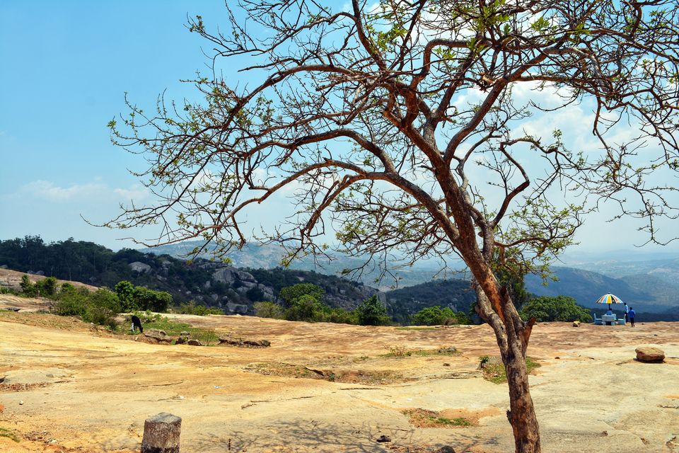 Photo of “Keep calm and drive on” @ Horsley hills road trip from Bangalore by Amit Pal