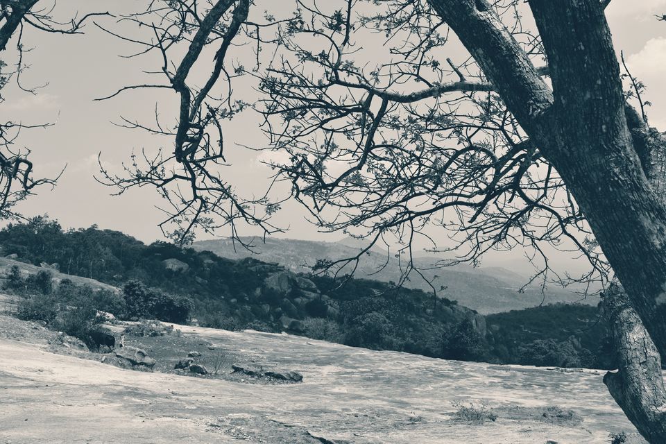 Photo of “Keep calm and drive on” @ Horsley hills road trip from Bangalore by Amit Pal