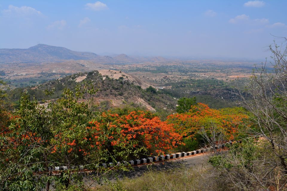 Photo of “Keep calm and drive on” @ Horsley hills road trip from Bangalore by Amit Pal