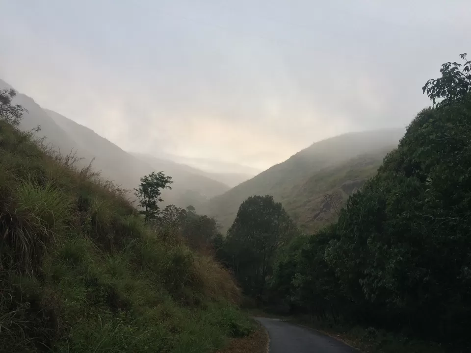 Photo of Thekkady, Kerala, India by open durbar
