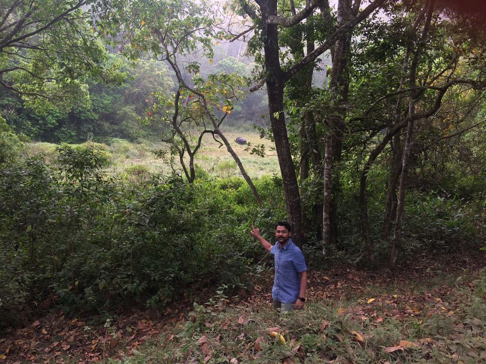 Photo of Thekkady in Idukki - Hilly, but #notinnorth ! by open durbar