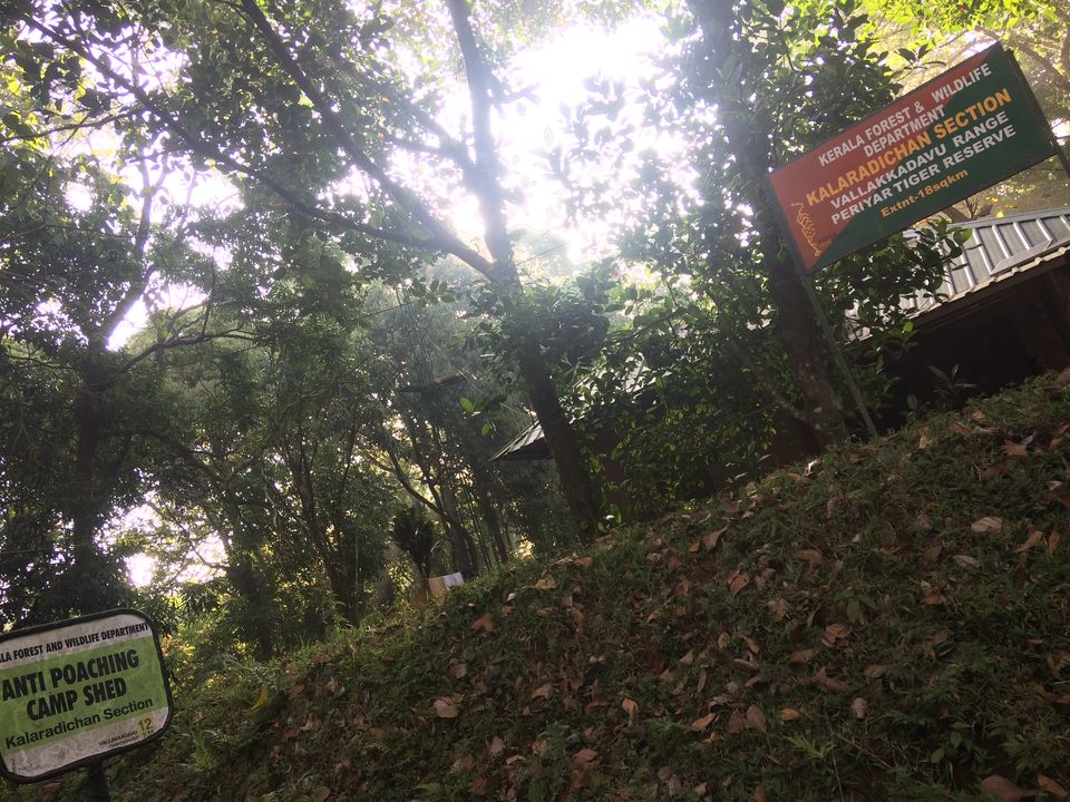 Photo of Thekkady in Idukki - Hilly, but #notinnorth ! by open durbar