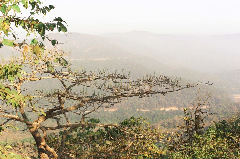 Photo of Karnala Fort - A Perfect Wee-can-trek Near Mumbai by Darshak Pandya