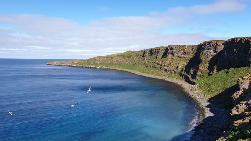 Photo of Here's How You Can Cross the Arctic Circle in Small Icelandic Fishing Island 9/15 by Karishma Shaikh