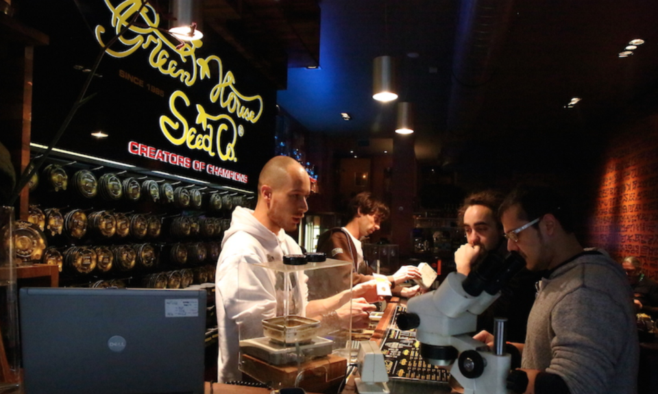 Photo of Everything You Need to Know About Getting Stoned the Right Way in the Sin City, Amsterdam by Karishma Shaikh