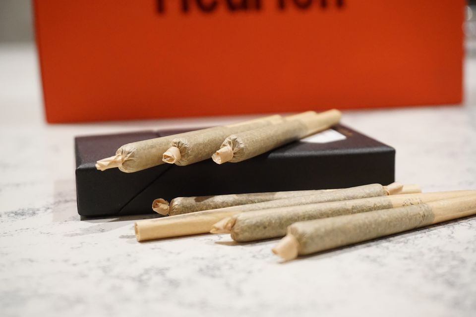 Photo of Everything You Need to Know About Getting Stoned the Right Way in the Sin City, Amsterdam by Karishma Shaikh