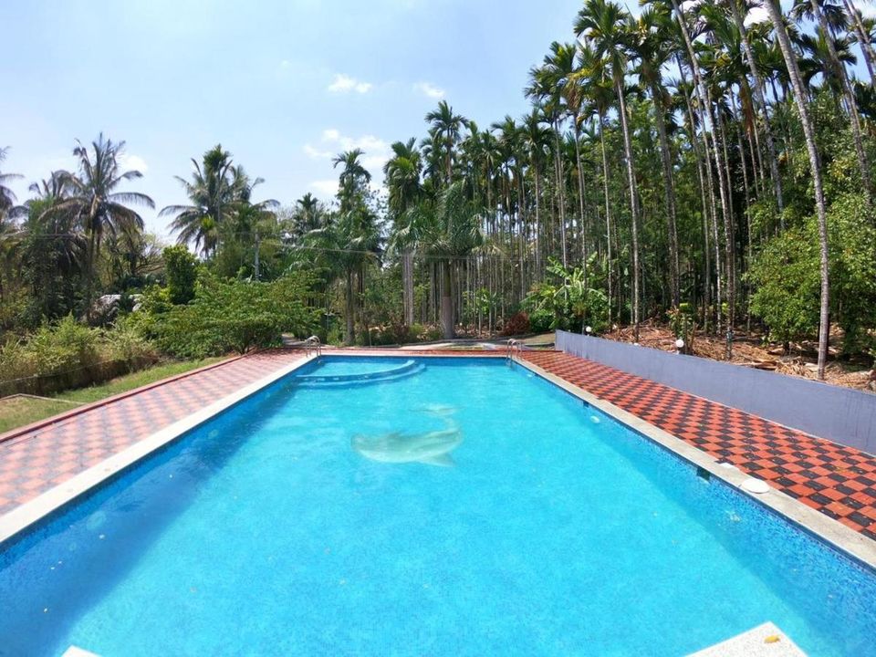 Photo of Offering a Cocktail of Luxury and Gorgeous Views, These Resorts in Coorg Are to Die For! 6/10 by Karishma Shaikh