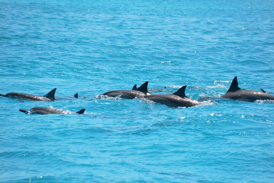 Photo of I Travelled to India's Favourite Honeymoon Destination, Maldives, Alone! Here's How it Went! by Karishma Shaikh