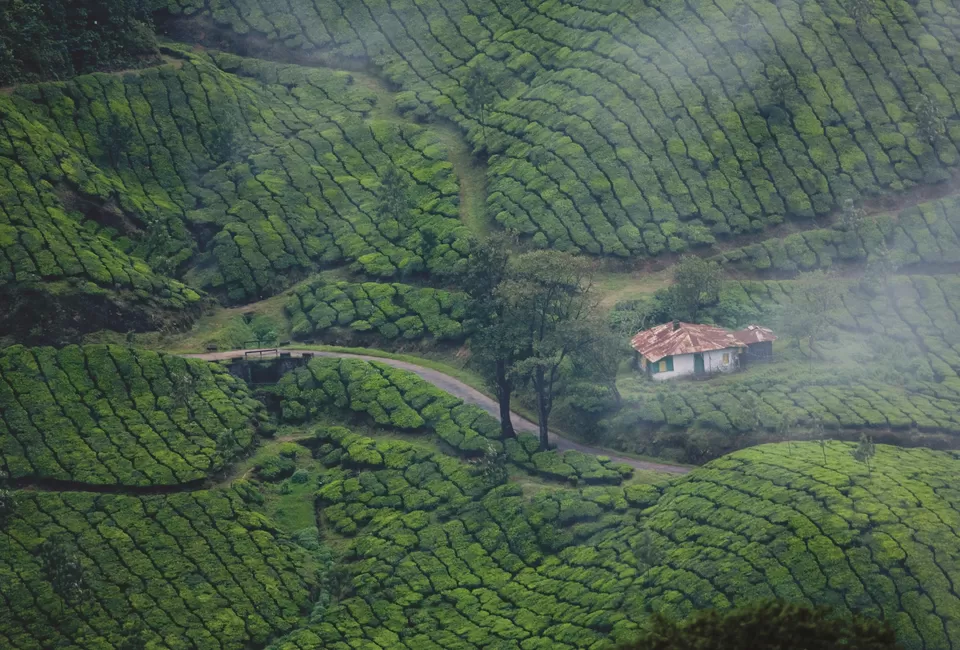 Photo of Munnar, Kerala, India by Karishma Shaikh
