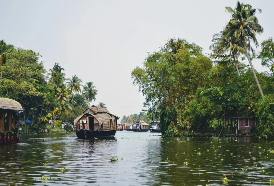 Photo of Alleppey, Kerala, India by Karishma Shaikh