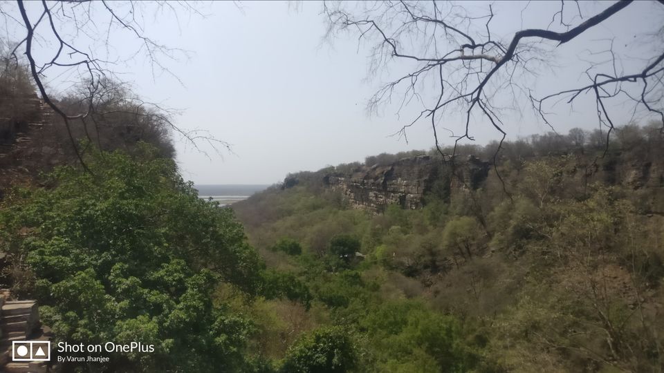Photo of ATHENA Tower, City Center, Tulsi Vihar Colony, Gwalior, Madhya Pradesh, India by Varun Jhanjee