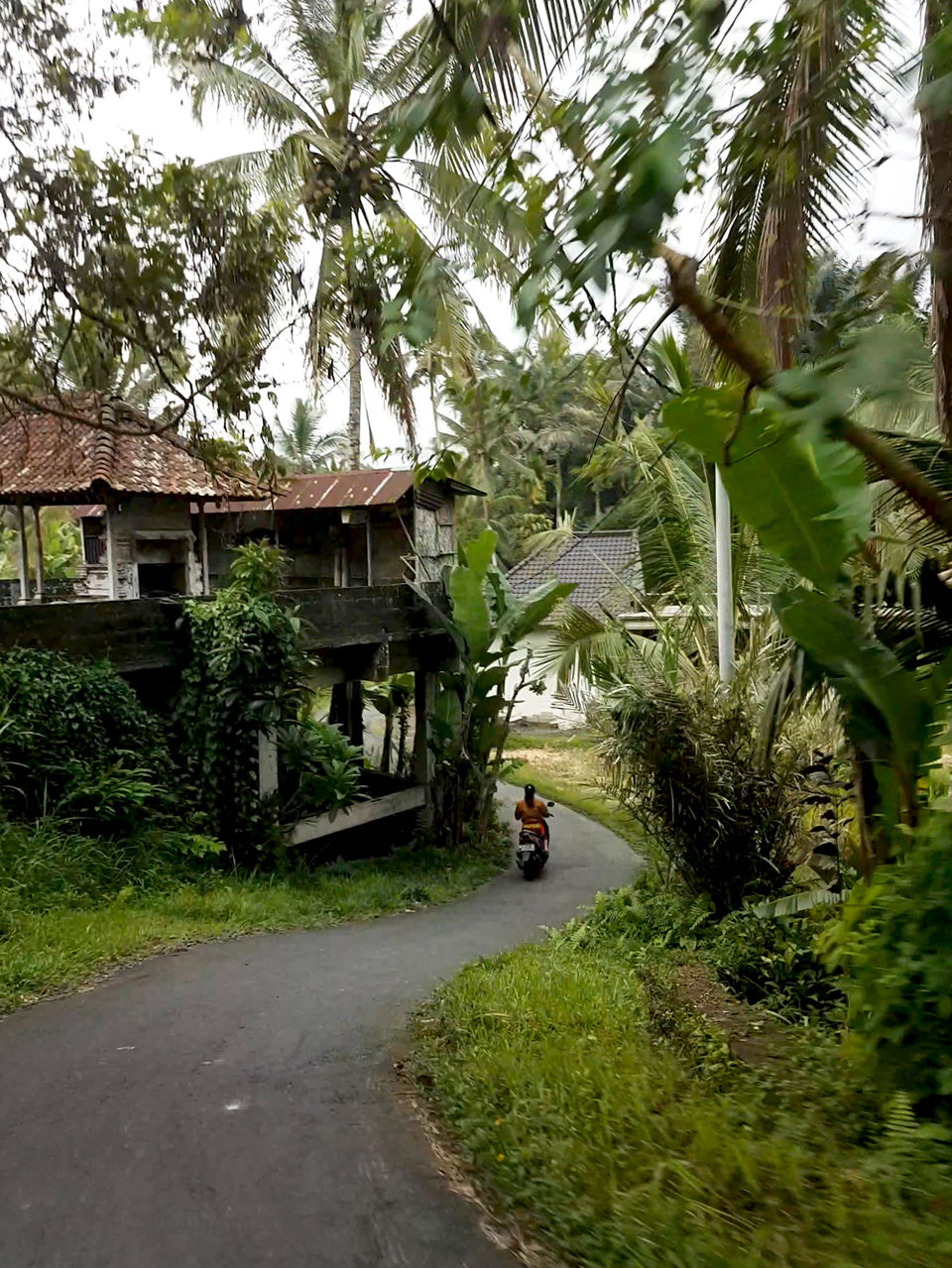 Photo of Tegallalang, Gianyar, Bali, Indonesia by Jemima Durnford