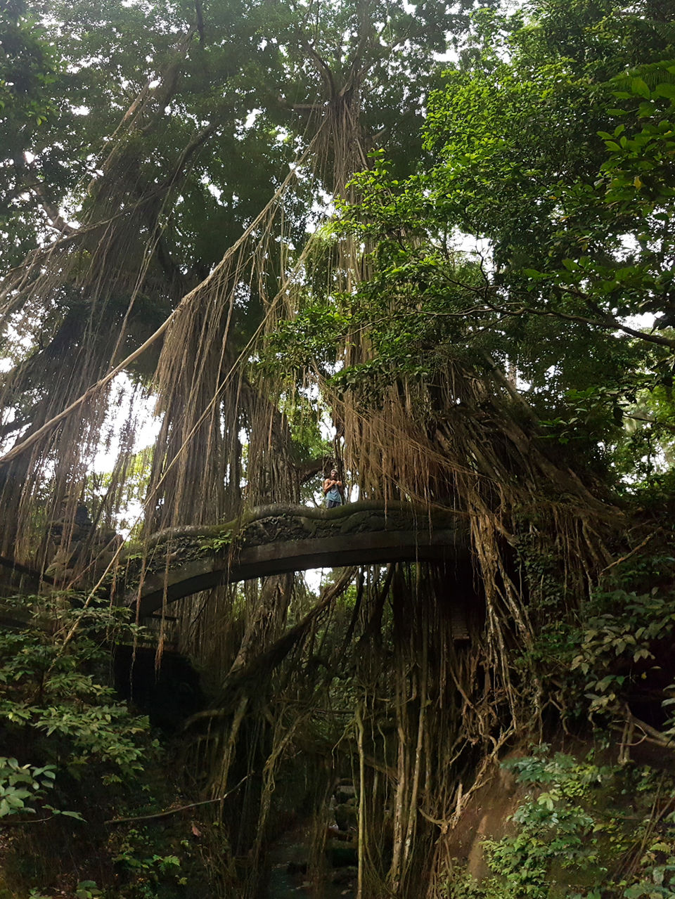 Photo of Sacred Monkey Forest Sanctuary, Monkey Forest Street, Ubud, Gianyar, Bali, Indonesia by Jemima Durnford