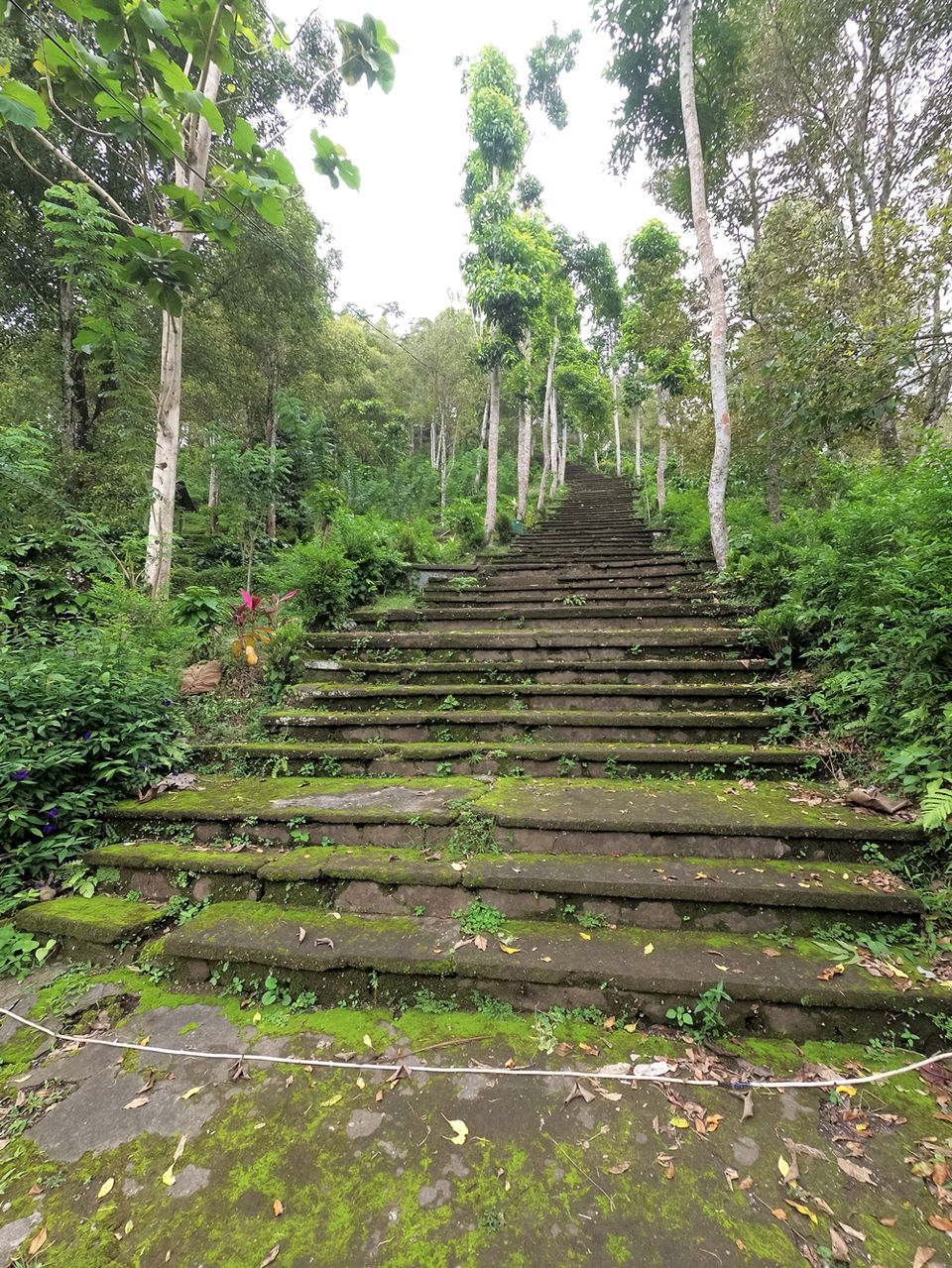 Photo of Adventures in Bali by Jemima Durnford