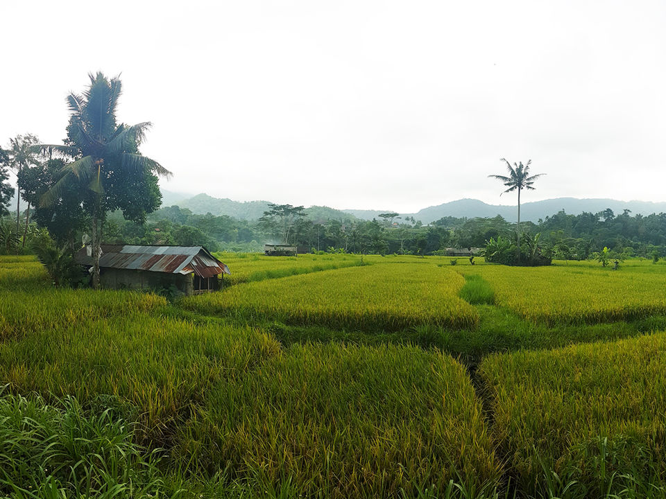 Photo of Adventures in Bali by Jemima Durnford