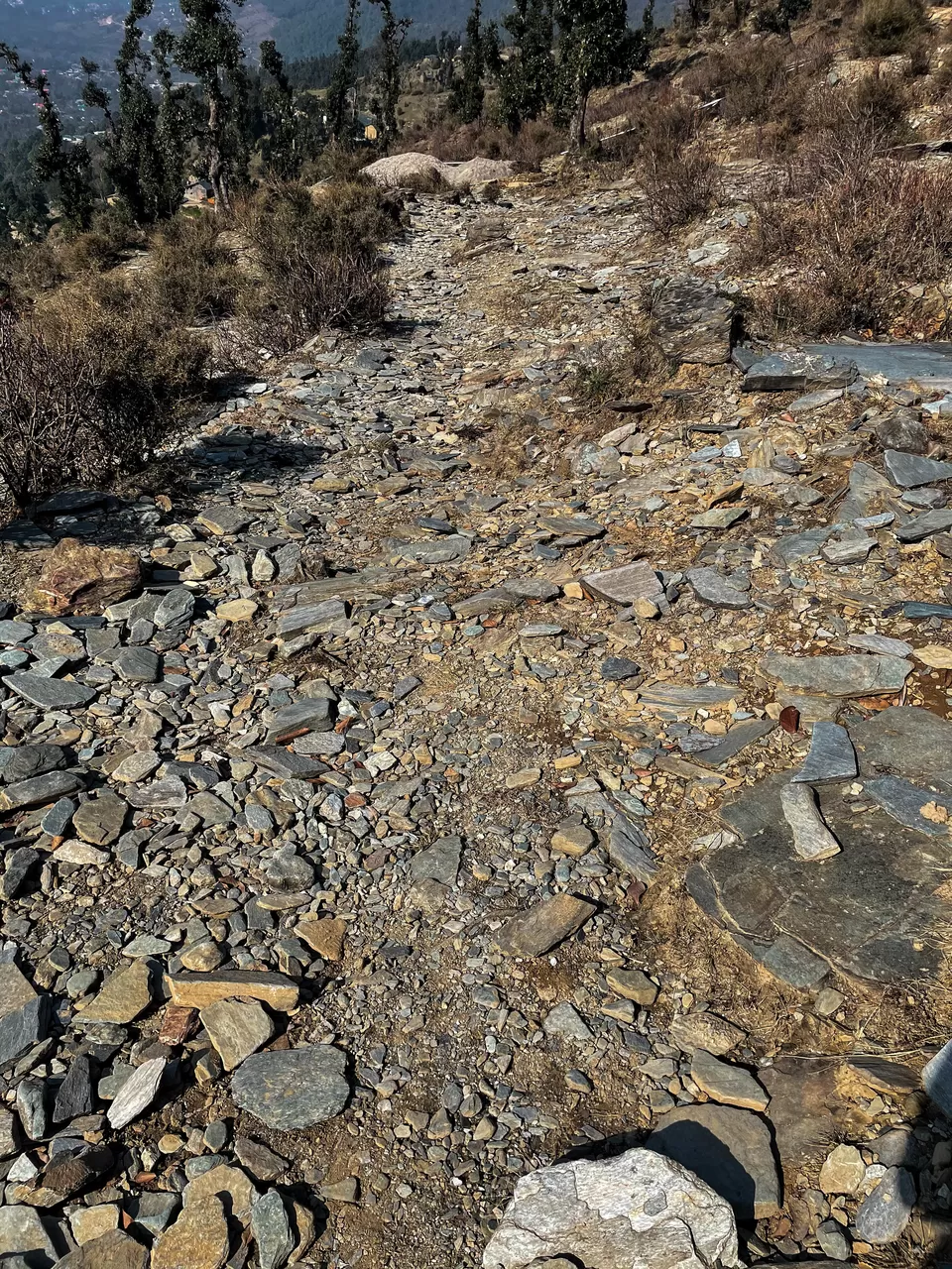 Photo of Dharamshala, Himachal Pradesh, India by Sidharth Jain