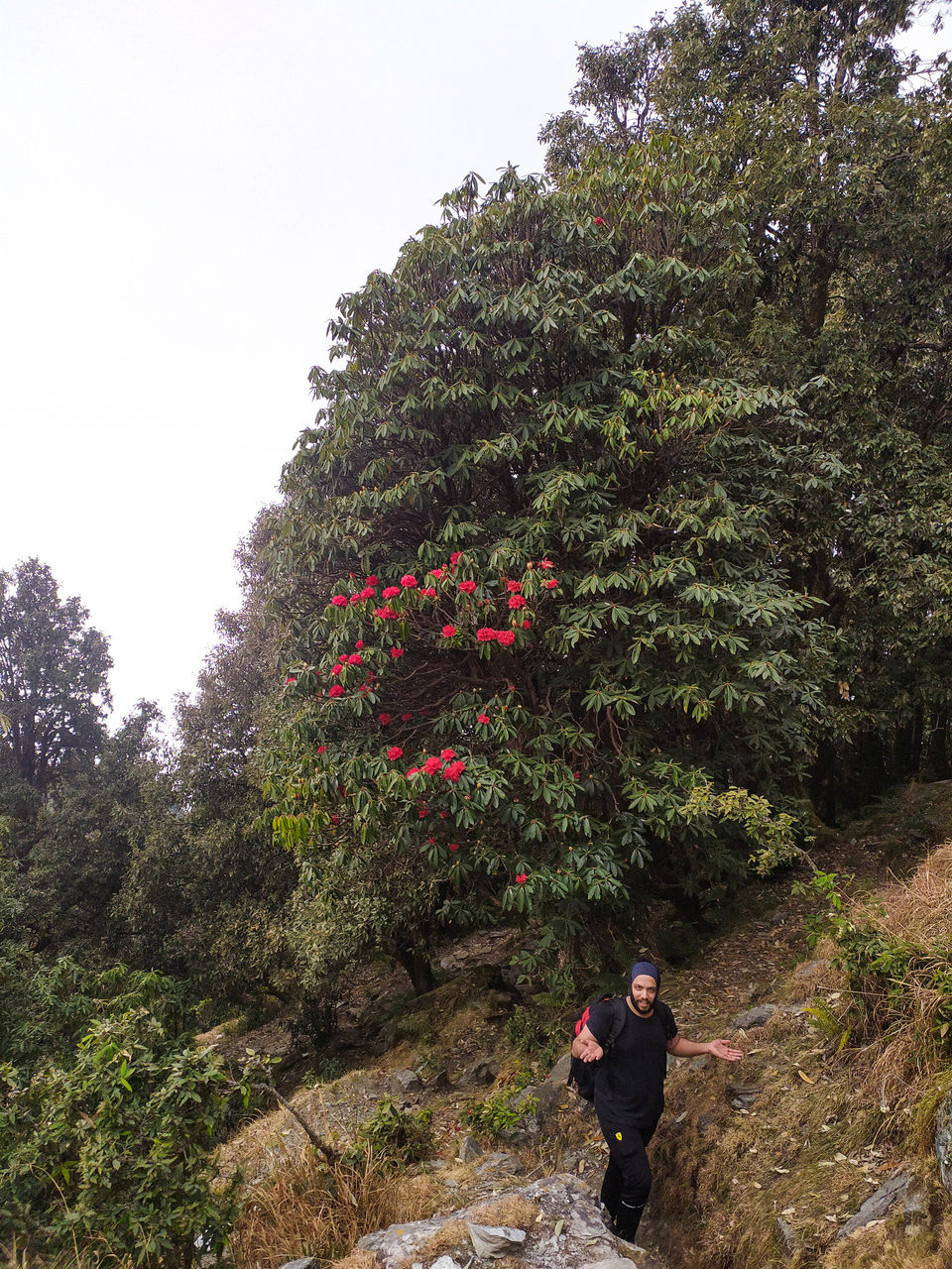 Photo of Thatharana Top: Unexplored alternative of Triund by Sidharth Jain