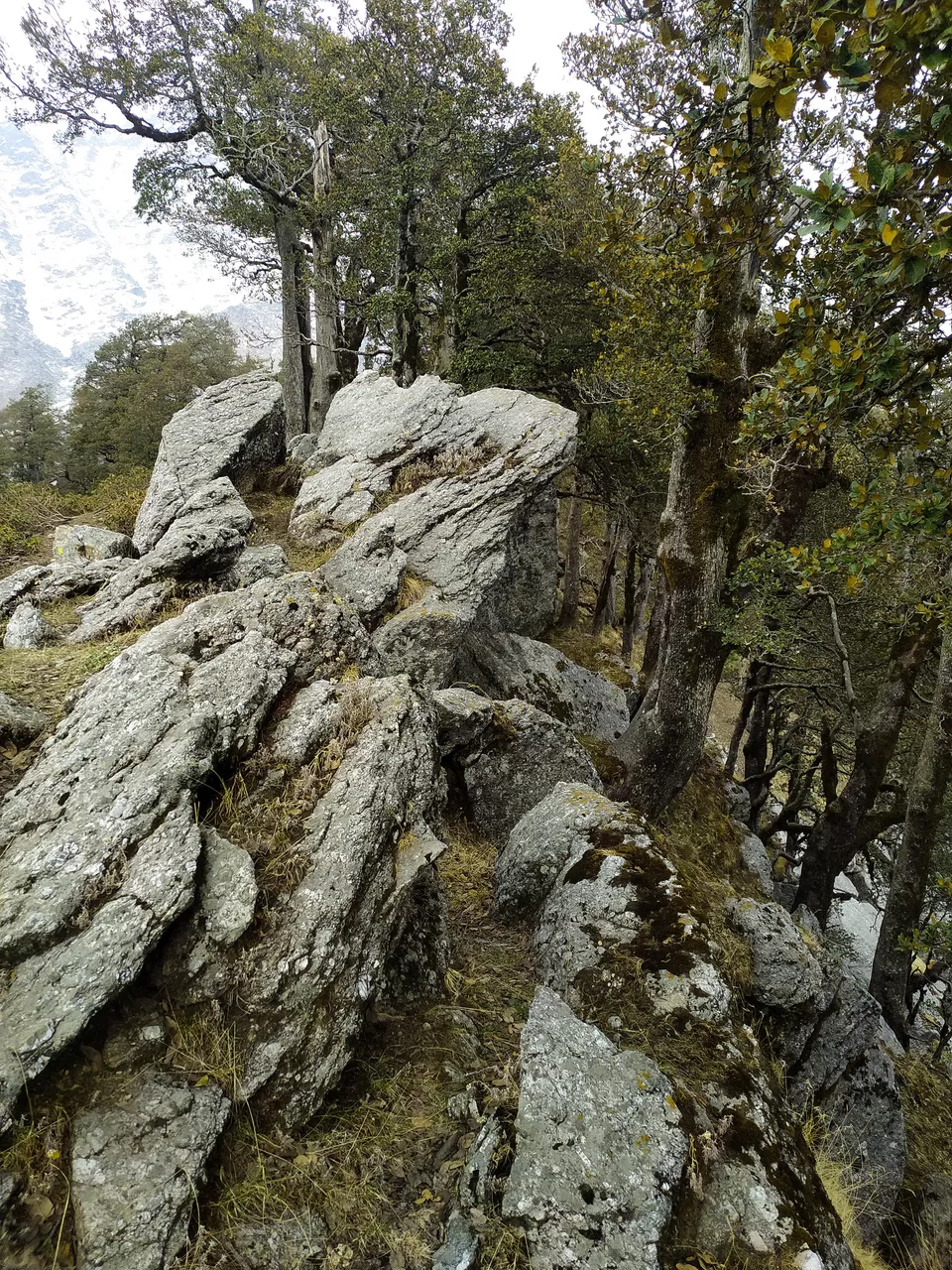 Photo of Indrahar Pass - Kunal Pathri Devi Trek by Sidharth Jain