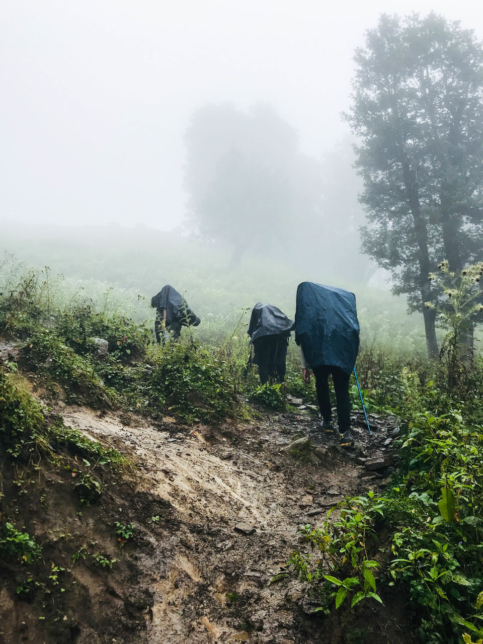 Photo of Manali, Himachal Pradesh, India by Sidharth Jain