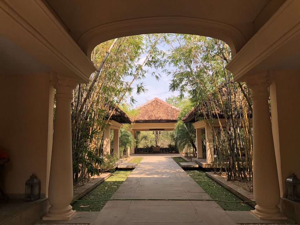 Photo of Tuli Tiger Corridor, Kohka, Madhya Pradesh, India by kavita dugar