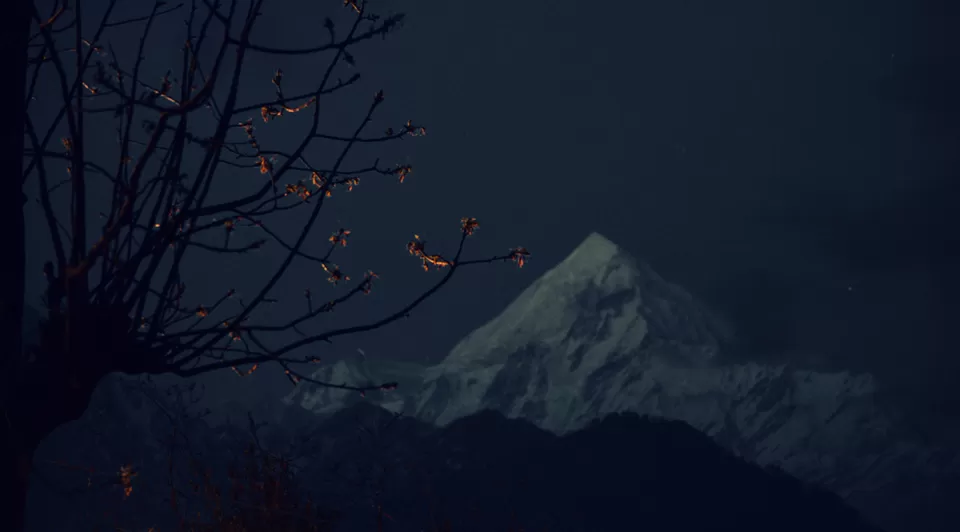 Photo of Munsyari, Uttarakhand, India by ipshita bhattacharyya