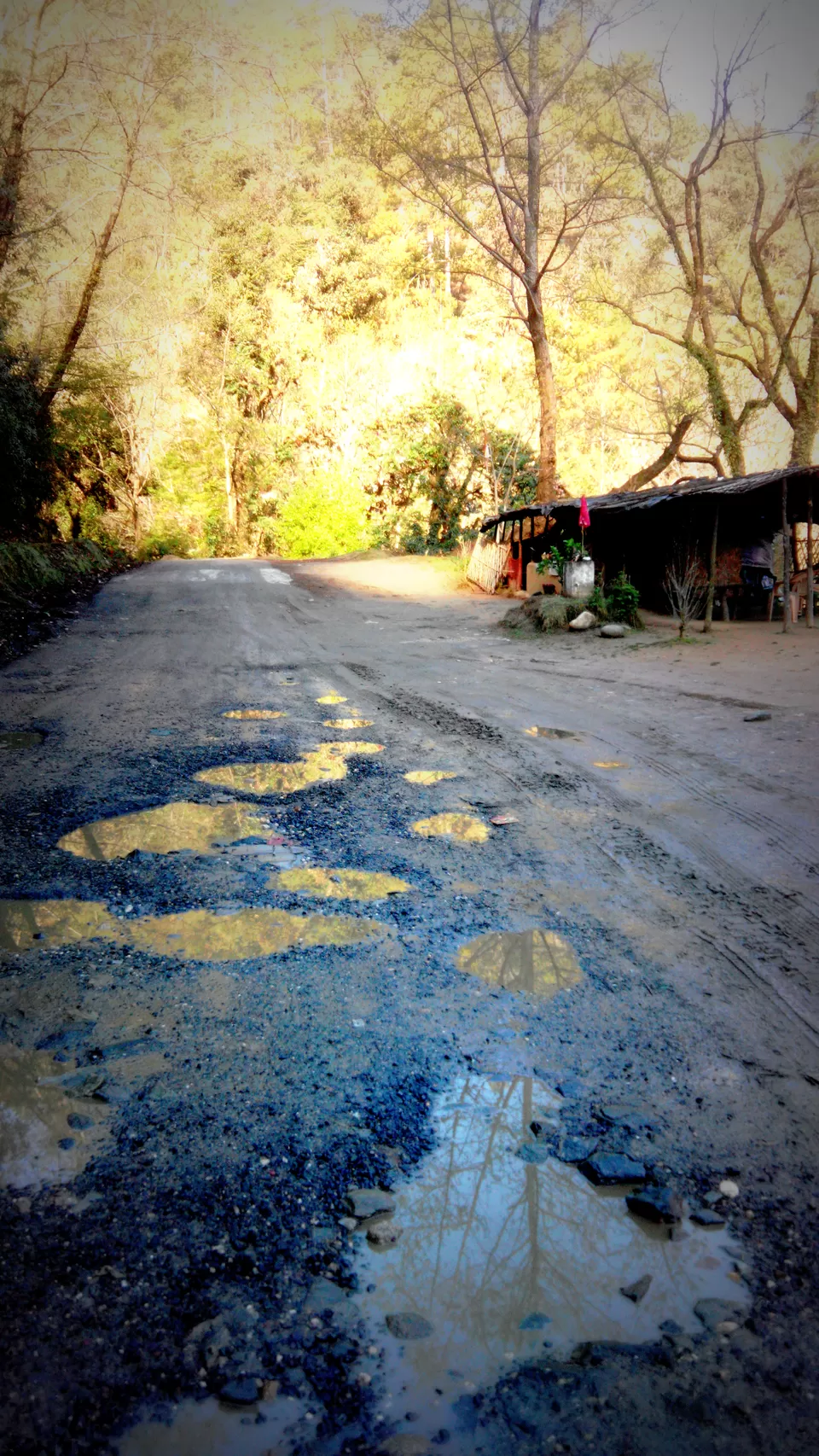 Photo of Gwaldam, Uttarakhand, India by ipshita bhattacharyya