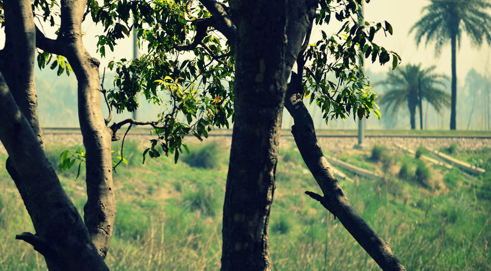 Photo of Road Trip : RUBBER-TRAMPING through Uttarakhand 1/49 by ipshita bhattacharyya