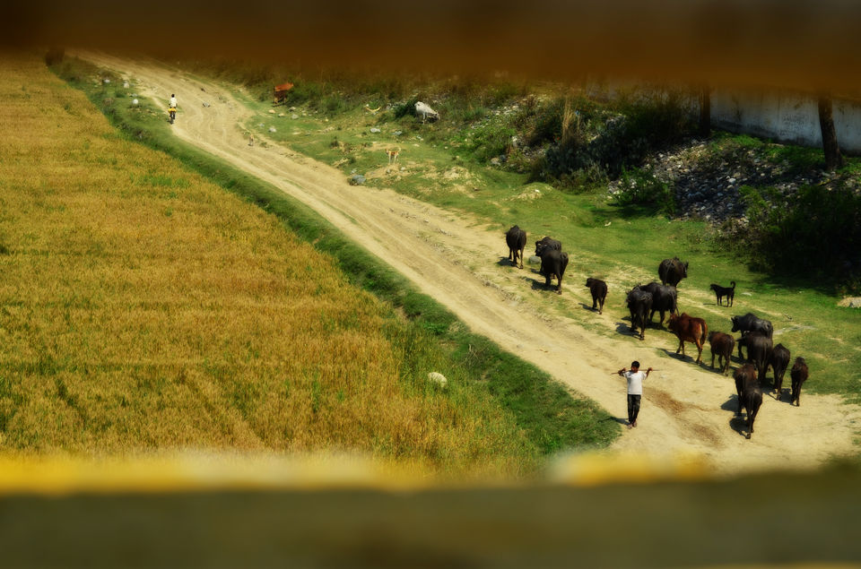 Photo of Road Trip : RUBBER-TRAMPING through Uttarakhand 8/49 by ipshita bhattacharyya