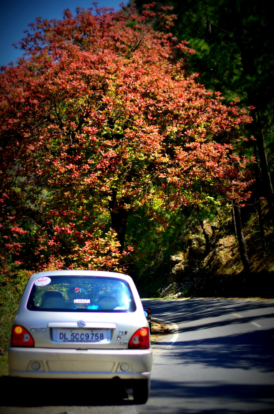 Photo of Road Trip : RUBBER-TRAMPING through Uttarakhand 5/49 by ipshita bhattacharyya