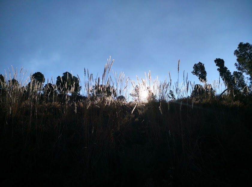 Photo of Winter sun at Ramgarh, Uttarakhand 4/16 by ipshita bhattacharyya