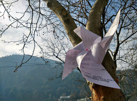 Photo of Winter sun at Ramgarh, Uttarakhand 14/16 by ipshita bhattacharyya