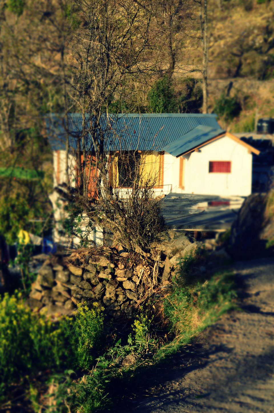 Photo of Road Trip : RUBBER-TRAMPING through Uttarakhand 25/49 by ipshita bhattacharyya