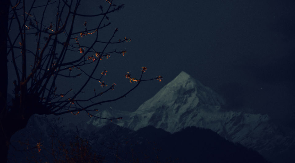 Photo of Road Trip : RUBBER-TRAMPING through Uttarakhand 34/49 by ipshita bhattacharyya