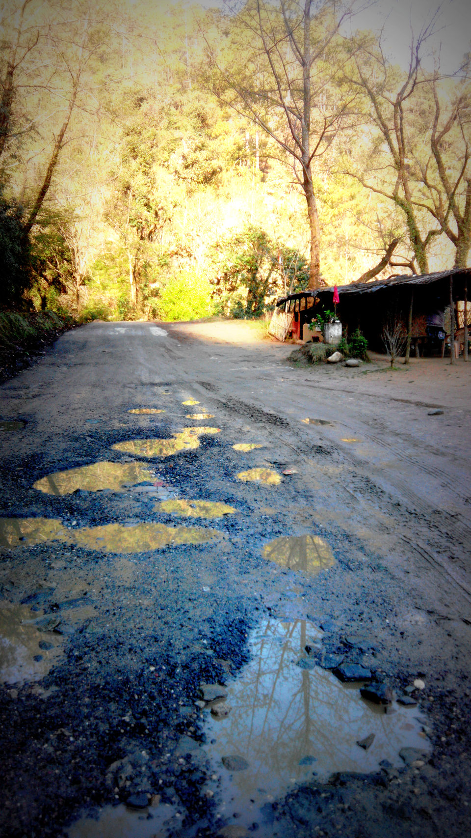 Photo of Road Trip : RUBBER-TRAMPING through Uttarakhand 41/49 by ipshita bhattacharyya