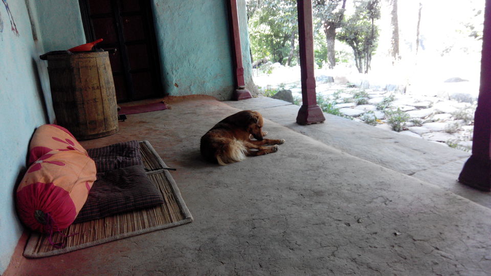 Photo of THE BALLU home stay 1/9 by ipshita bhattacharyya