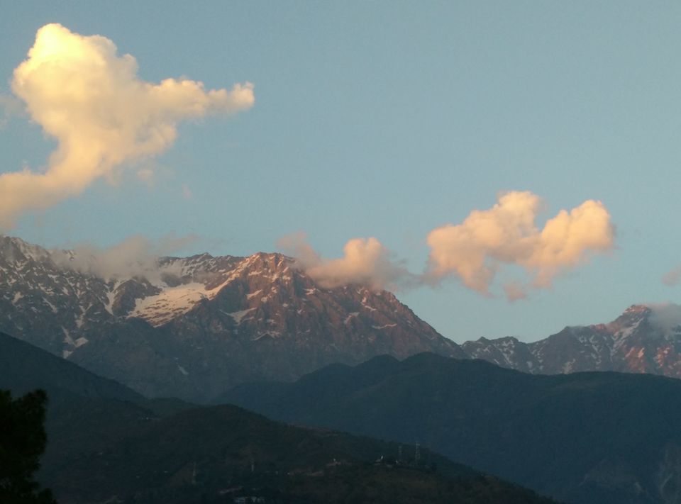 Photo of Cafe Hopping - DHARAMKOT 15/15 by ipshita bhattacharyya