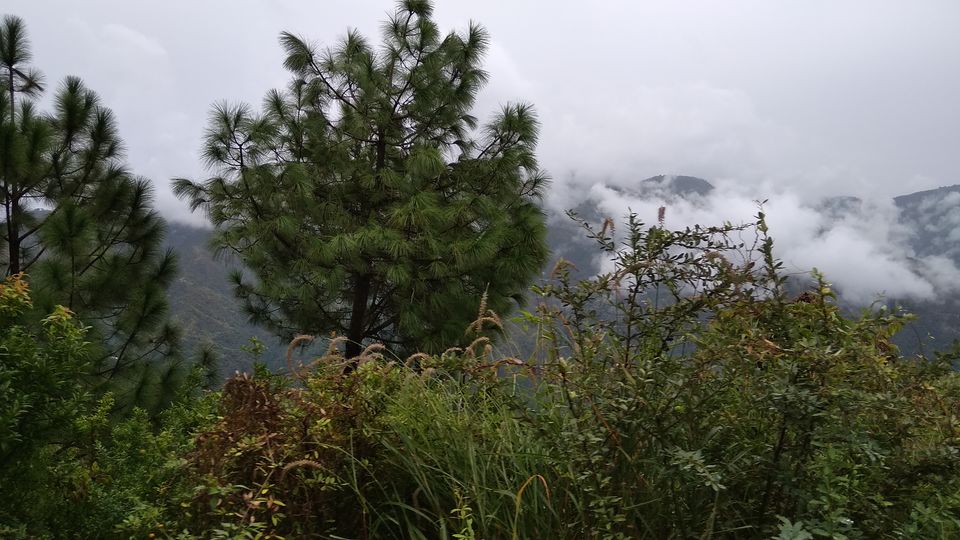 Photo of A memorable train journey in the foothils of the Himalaya #LifeOnATrain by Rakesh Das