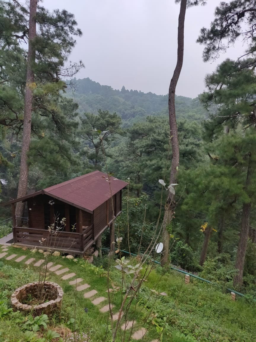 Photo of Shillong, Meghalaya, India by Pratibha Periwal