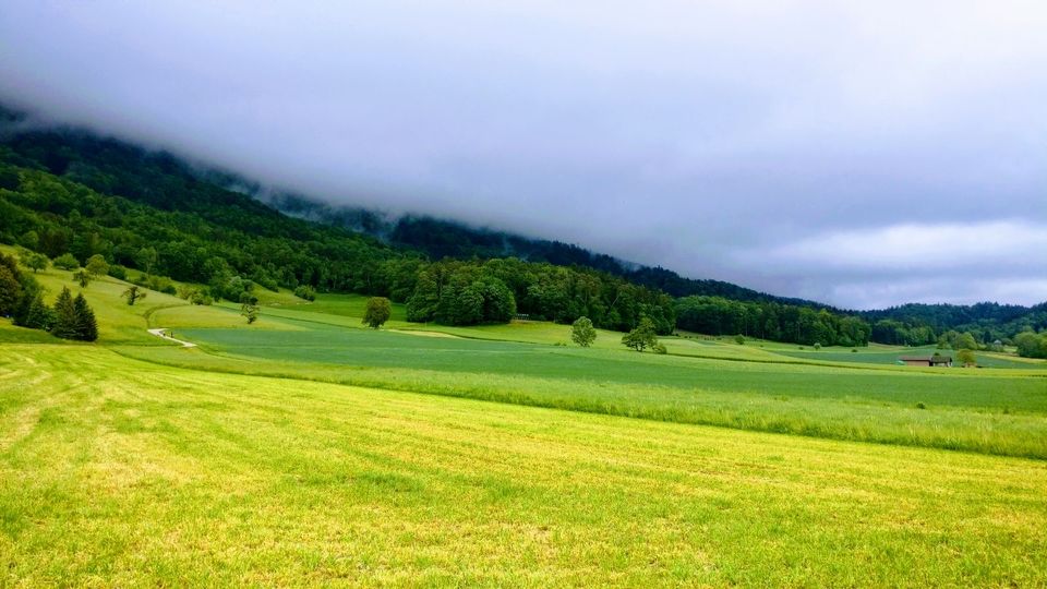 Photo of Where are you heading this summer? Top domestic picks for this summer by Pratibha Periwal