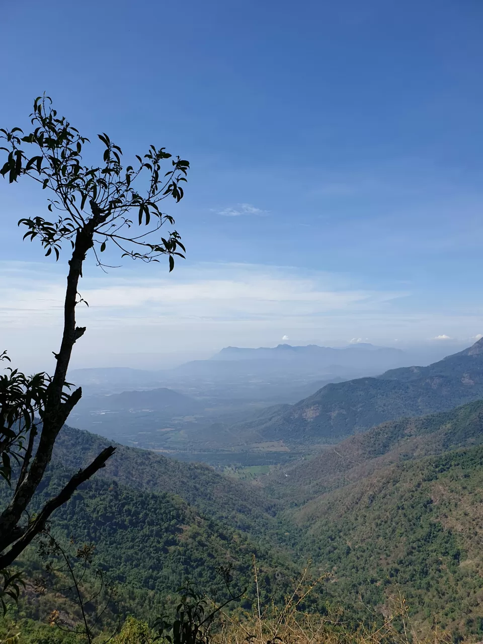 Photo of Kotagiri, Tamil Nadu, India by Liti