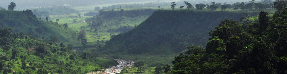 Photo of What are the National Parks that you must visit during your Trip to Dooars? 1/1 by Parijatee TNT