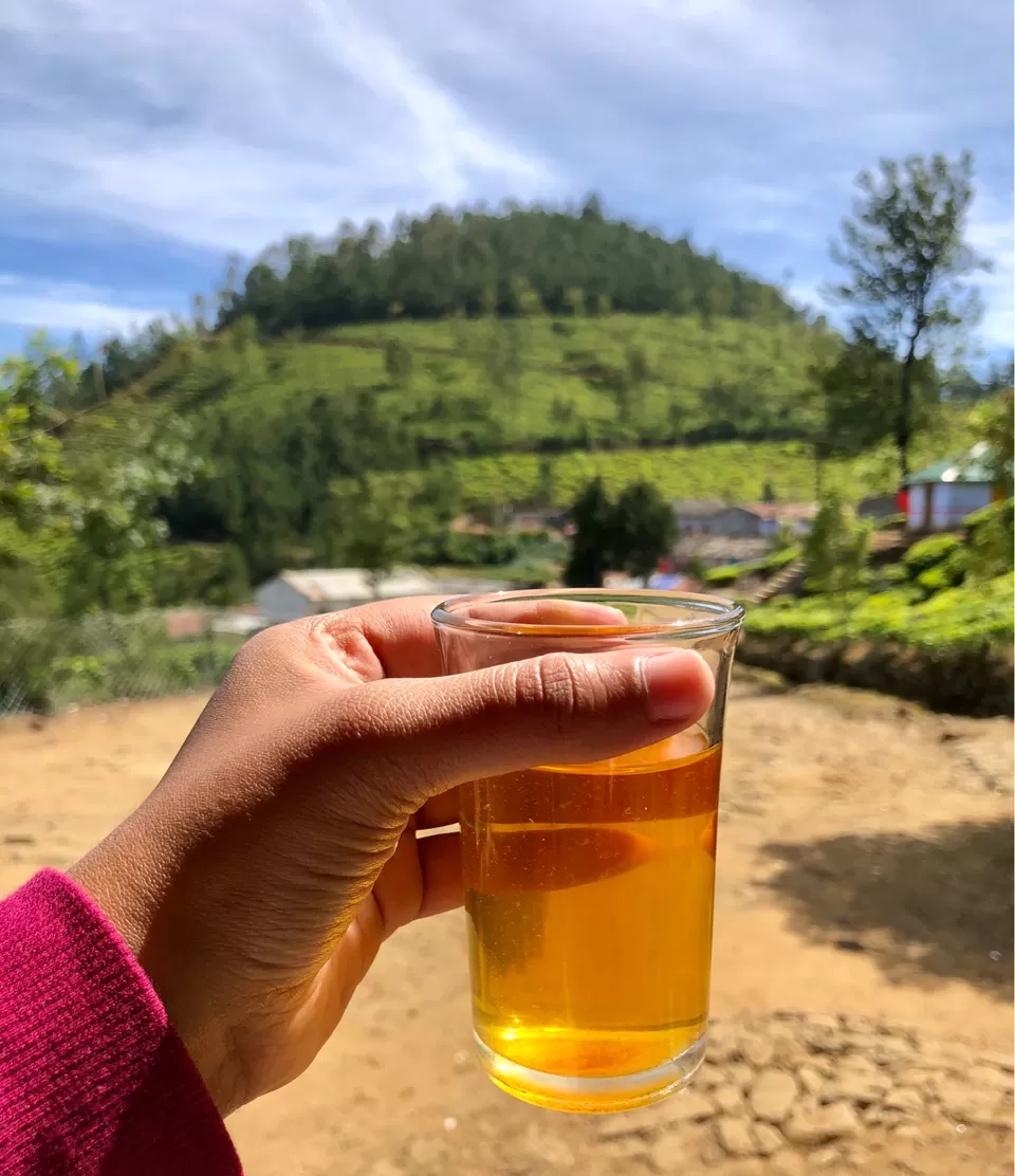Photo of Kolukkumalai, Kottagudi, Tamil Nadu, India by Milcah Karnal