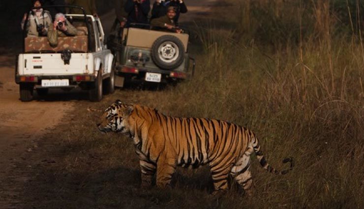 Photo of यूपी के इस शहर में बनेगा देश का पहला नाईट सफारी पार्क, सिंगापुर जैसे देशों को भी देगा टक्कर by Musafir Rishabh