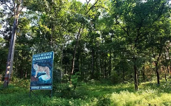 Photo of अचानकमार, Chhattisgarh, India by Rishabh Dev