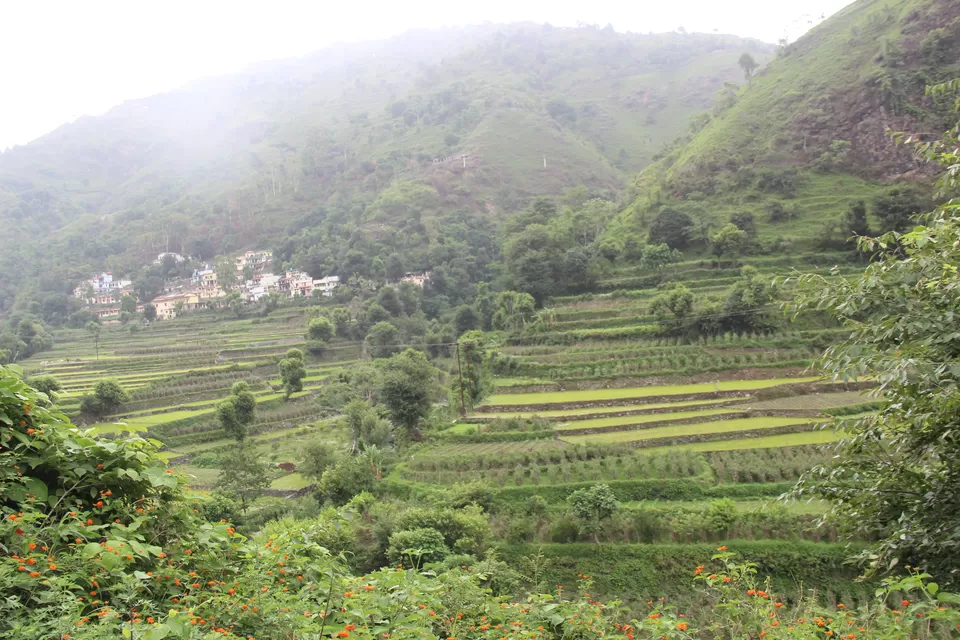 Photo of विकासनगर, Uttarakhand, India by Rishabh Dev