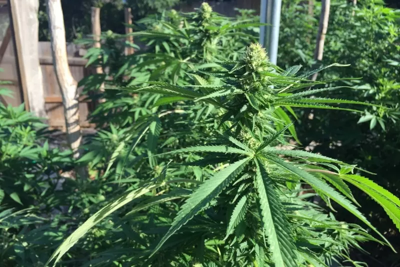 Photo of मणिपुर, India by Rishabh Dev